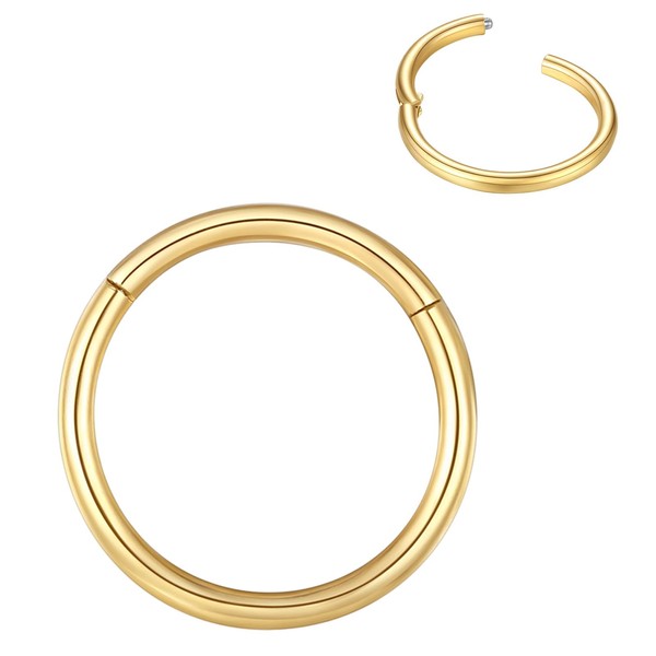 BLESSMYLOVE Nose Ring 316L, Surgical Steel, Cartilage Earring, Septum, Clicker,