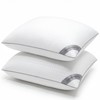 HIMOON Bed Pillows for Sleeping Set of 2,Standard Size Cooling