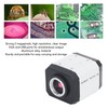 Industrial Microscope Camera 2MP Digital 1920 X 1080 Resolution with