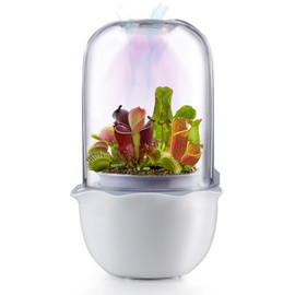 Venus Fly Trap Pot,Smart Planter with Timer and Fan,Small Terrarium Kit with Light and Drainage Hole for Carnivorous Plant,Succulent,Sundew Moss,Cactus,Pitcher(No Plant)