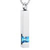 12 Birthstone Bar Cremation Necklace for Women Men Stainless Steel