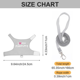 ElevateTech Bearded Dragon Harness and Leash, Cute Lizard Reptile Small Animal Adjustable Harness Suitable for Outdoor Walking Reptiles Squirrels Lizards (Gray)