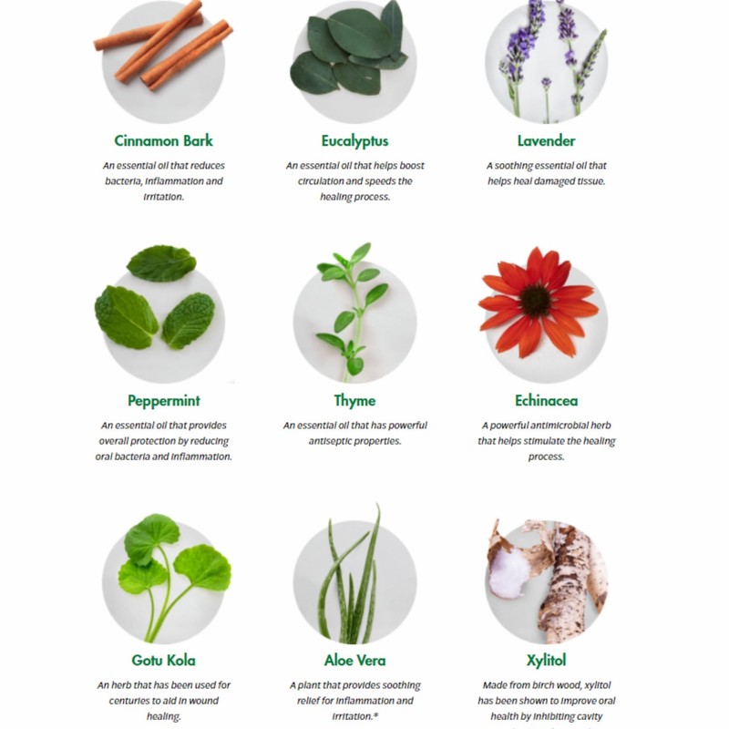 Dental Herb Company - Essentials Toothpaste - Truly Natural Fluoride-Free