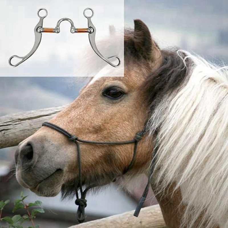 Peakloong Stainless Steel Snaffle Bit Horse Training Equipment for Mouth