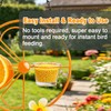 4-Pack Glass Oriole Feeder Cups, Replacement Jelly Bowls for Bird