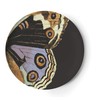 Metamorphosis Dinner Plate S/4