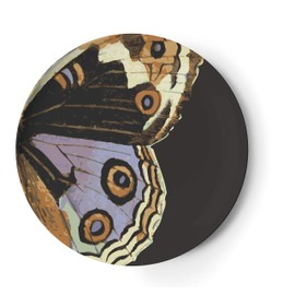 Metamorphosis Dinner Plate S/4