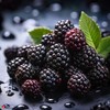 Boysenberry Flavouring - High Strength Food Flavoring - 230+ Flavours