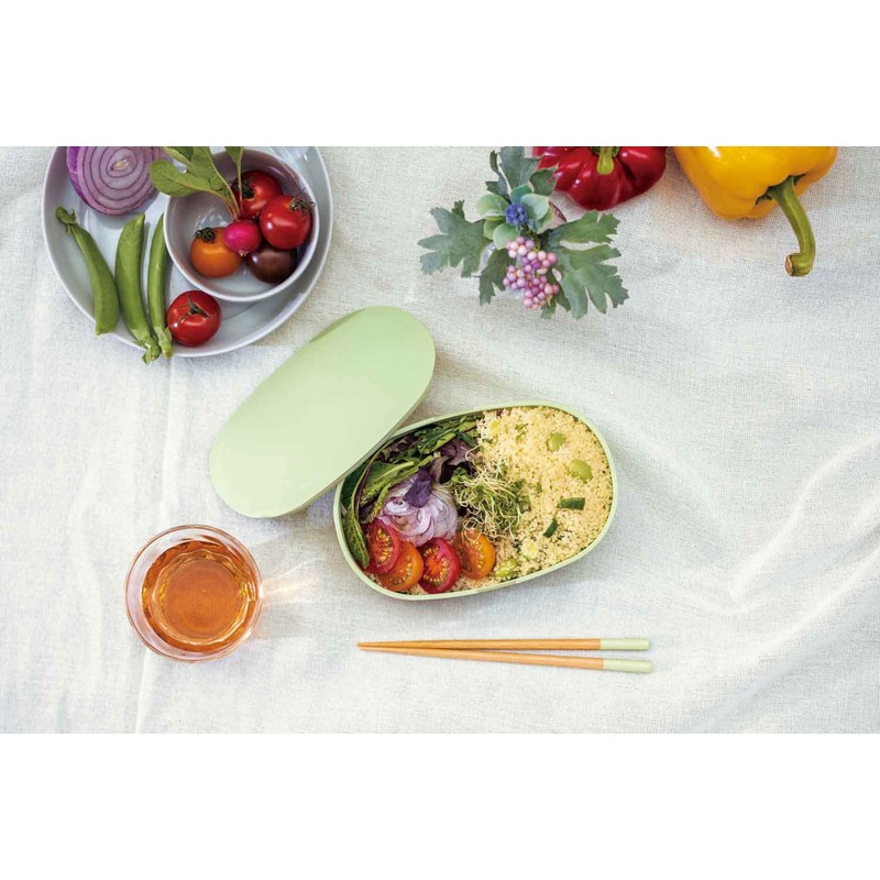 Ansio Antibacterial Chopsticks Slim Chopsticks Case Set (Black/Japan), Dishwasher Safe,