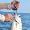 Portable Fish Lip Gripper, Aluminum Fishing Gripper, Mini Beetle Shaped