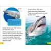 DK Super Readers Level 2 Great White Sharks