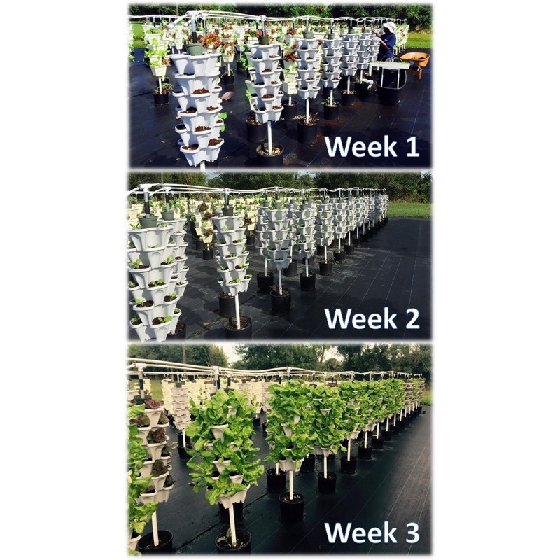 New (20) Individual Stacking Hydroponic 13" Pots - Build Your