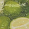 anillo [anillo]Lime Sunday Refresh Shampoo 450ml
