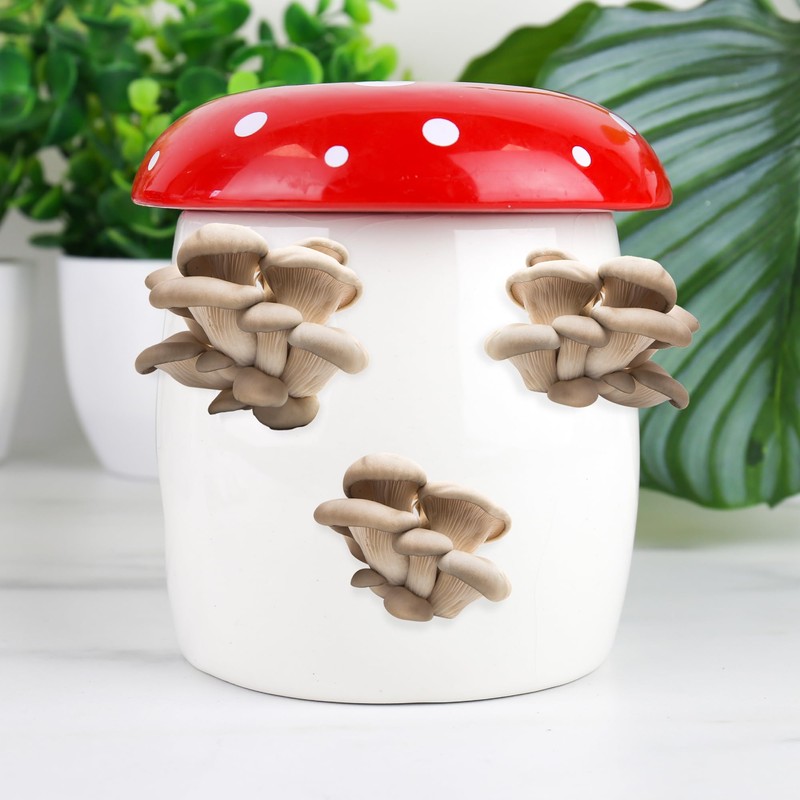 Gift Republic GR970005 Mushroom Planter Grow Kit, Red
