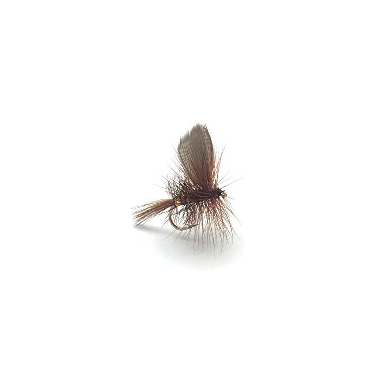 BestCity Fly Fishing DRY FLY WICKHAMS FANCY Set of 16