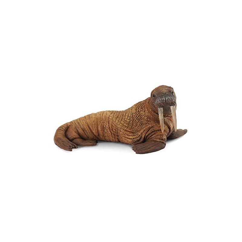 COLLECTA Collcta Walrus 88569 4.7 x 2.4 inches (12 x