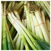 Everwilde Farms - 1/4 Lb Organic Evergreen White Bunching Onion