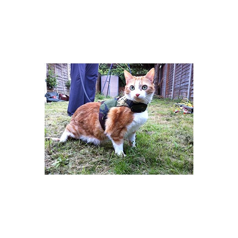 Mynwood Cat Jacket/Harness Green Combat Kitten up to 8month