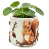 Unique Squirrel Plant Pots Cute Succulent Pots with Drainage Hole