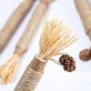 Natural Silvervine Dental Sticks, Silvervine Sticks for Cats, Cat Silver