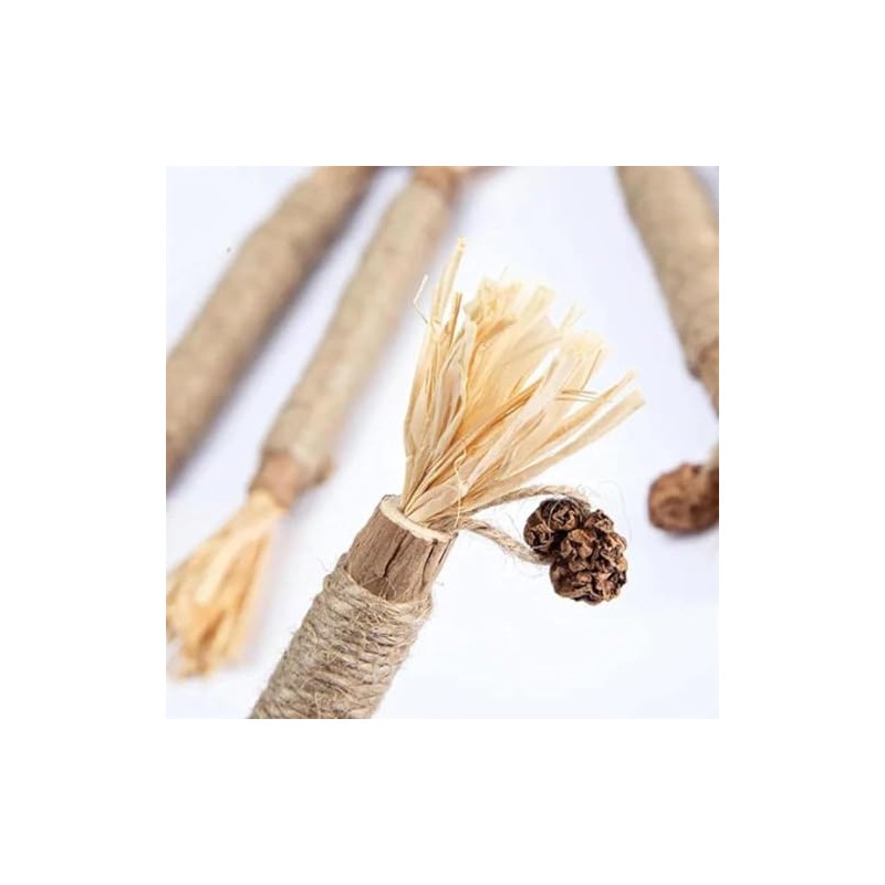 Natural Silvervine Dental Sticks, Silvervine Sticks for Cats, Cat Silver