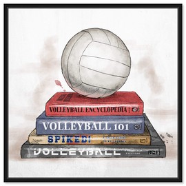 Hatcher and Ethan Sports and Teams Wall Art Framed Canvas Prints Books' Volleyball Home Décor, 20" x 20", White, Blue
