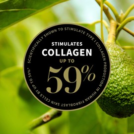 Antipodes Rejoice Light Facial Day Cream 60ml