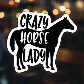 Crazy Horse Lady Vinyl Decal Sticker | Cars Trucks Vans SUVs Walls Cups Laptops | 5 Inch | Black | KCD2679B