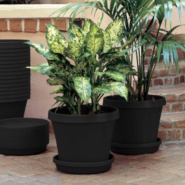 Bloem Terra Pot Planter (TR1000), Black, 10"