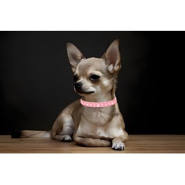 Rhinestone Dog Collar Cute Crystal Diamond Cat Collar Soft Leather Kitten Puppy Collars Adjustable for Small Medium Dogs Black XS