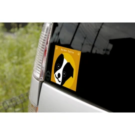 Staring Border Collie Black & White [Black and White] Dog Sticker Orange Back