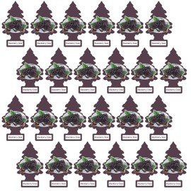 LITTLE TREES Car Air Freshener | Hanging Paper Tree for Home or Car | Blackberry Clove | Pack of 24