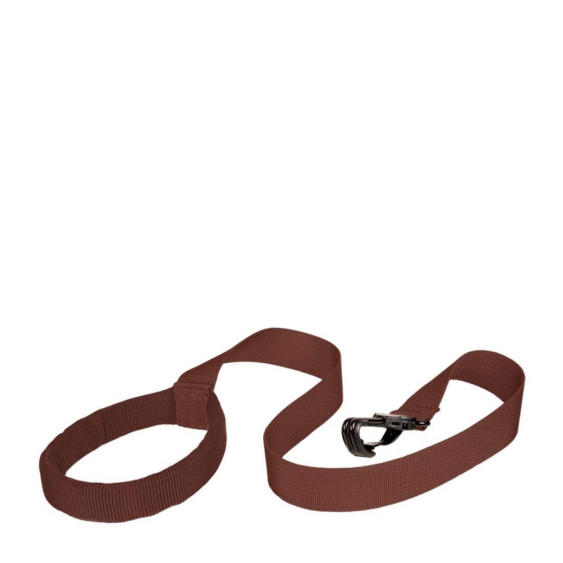 LittleLife Animal Toddler Daysack - Dinosaur