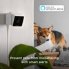 Petcube Cam Pack of 3 Indoor Home Security Cameras with