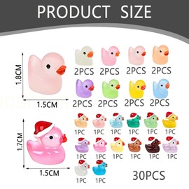 Pddenality 30PCS Shoe Charms, Duck Charms for Shoes, Colourful Mini Ducks for Party Favors and Gifts for Women Men Boys and Girls Shoe Accessories for Decoration Easy to Attach
