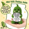 Positive Crochet Pickle Birthday Gifts for Men Women Best Friends