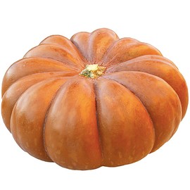 Cinderella Carriage Pumpkin Seeds