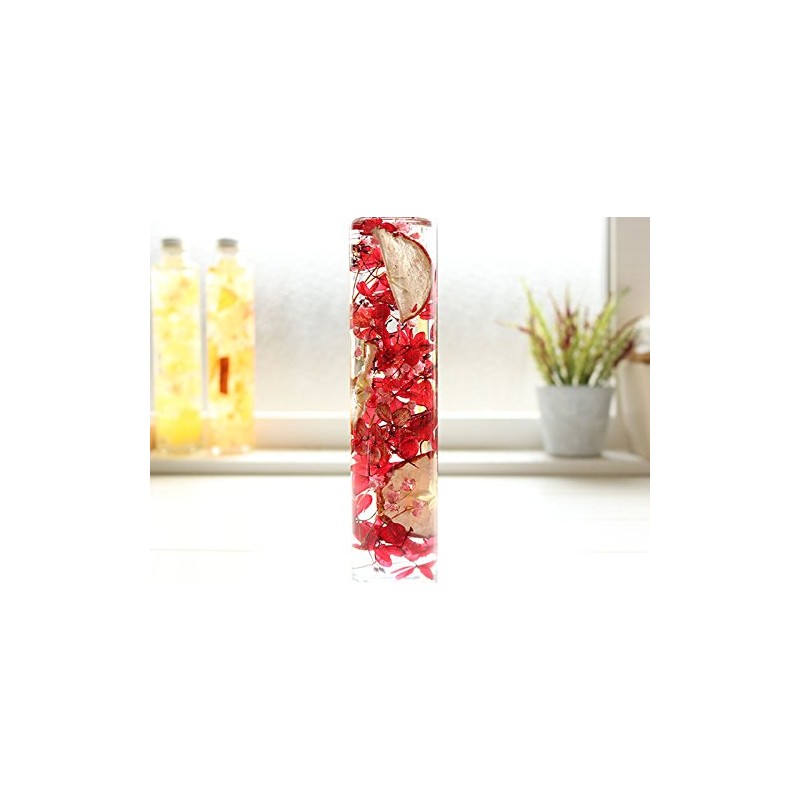 Hortus siccus Red Colors Series 紫陽花 Apples Gypsophila Herbarium