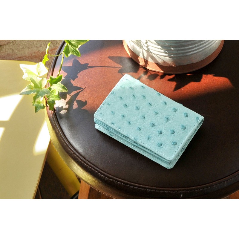 Sankyo Shokai Ostrich Leather Business Card Holder, Full Point Card