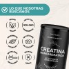 Creatina Monohidratada Micronizada en Polvo Quotidien | Alta Pureza Certificada