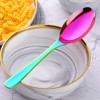 Bisda 2-Piece Stainless Steel 18 10 Serving Spoon (Rainbow)