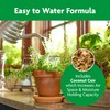 Miracle-Gro Indoor Potting Mix, Blended for a Variety of Houseplants,