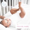 Jersey 100% Cotton Fitted Sheet, Fits 90 x 40 cm