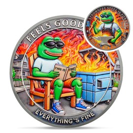 Fun Dumpster Fire Frog Challenge Coin - The Strongest Steel is Forged Dumpster Fire Coin - Emotional Support This is Fine Chip - Funny Desk Accessories for Work - Inspirational Gifts for Men Women