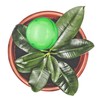 24 x Watering Balls Set 2 Weeks Retractable Potted Plants