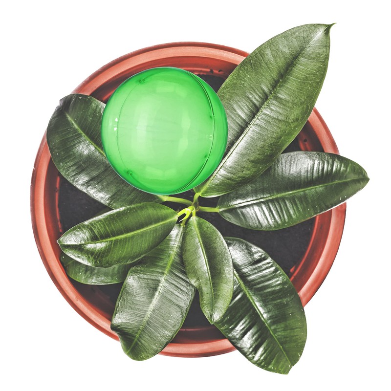 24 x Watering Balls Set 2 Weeks Retractable Potted Plants