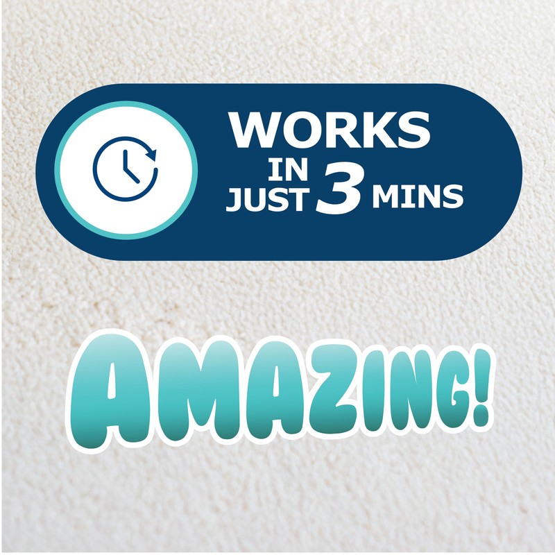 Dr. Beckmann Pet Stain & Odour Remover, Eliminates stains and