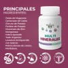 Kit 2 Multiminerales 100 Cápsulas De 500 Mg Rinde 100