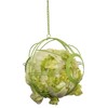 Ware Manufacturing Chick-N-Veggie Treat Ball