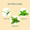 VAHDAM, Mint Green Tea Bags (30 Count) 100% Pure Leaf